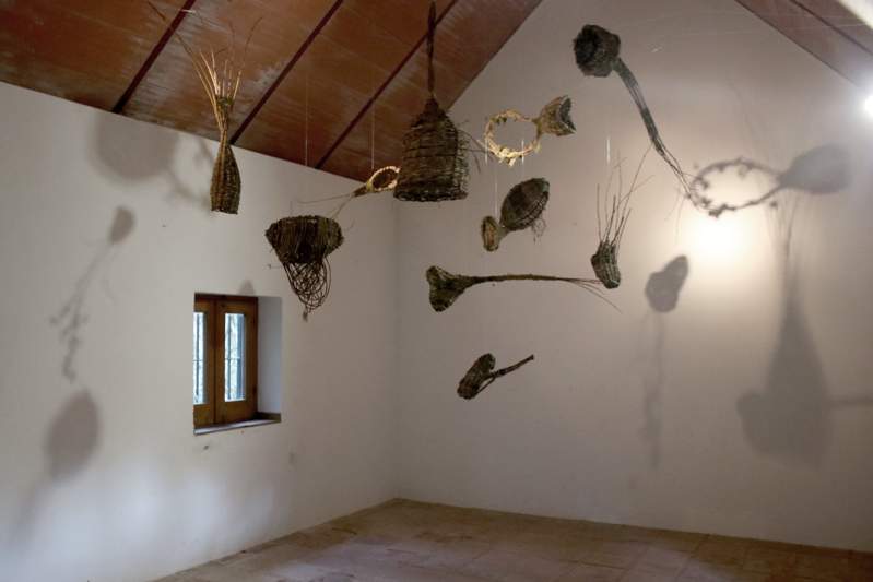 Exposición El Enjambre