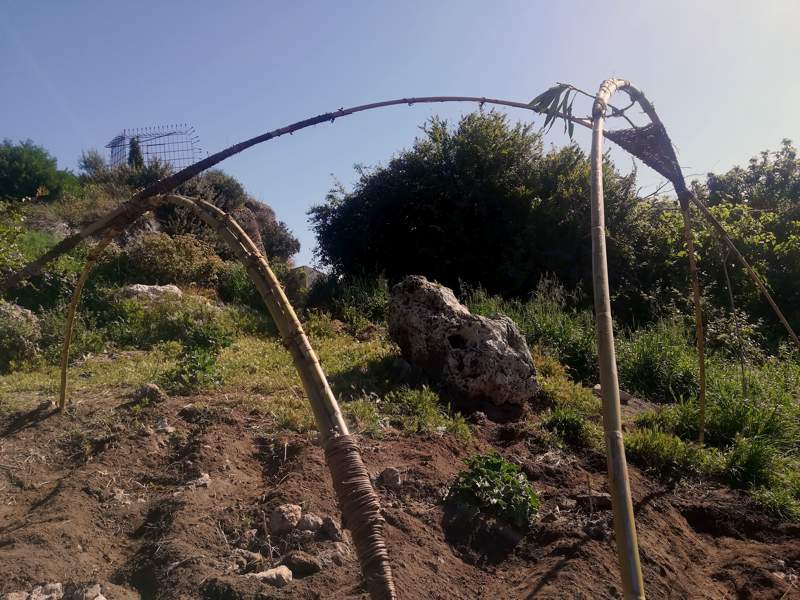 Exposición El Enjambre