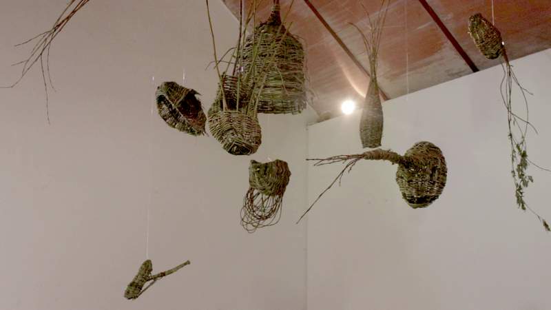 Exposición El Enjambre